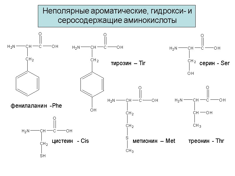 Неполярные ароматические, гидрокси- и серосодержащие аминокислоты  фенилаланин -Phe метионин – Met цистеин 